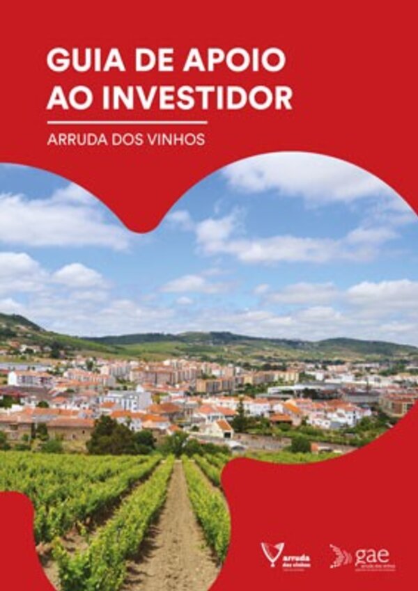 guia_investidor