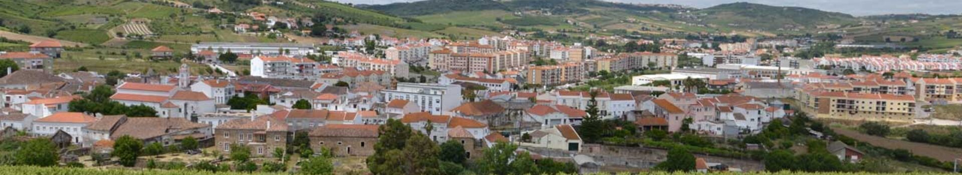arruda-dos-vinhos