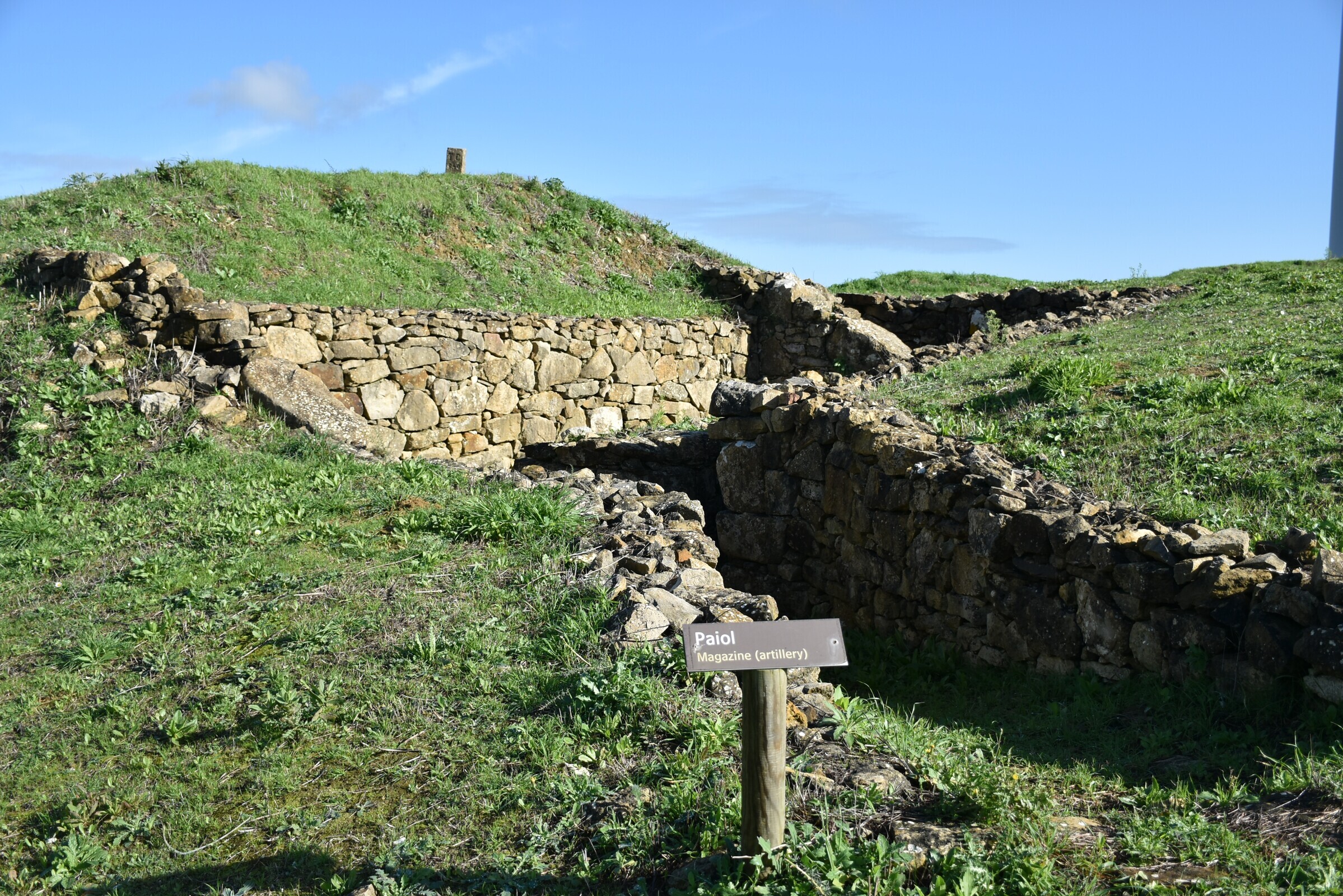 forte_cego