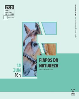 24412_novos_27__1_