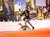 expo_canina__3