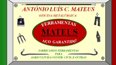 António Luís C. Mateus
