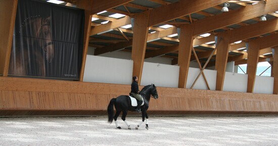 Academia de Dressage Portugal