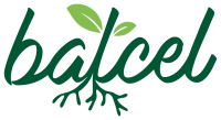 Batcel - Comércio e Indústria Alimentar Lda