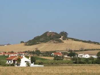 Vinhas_19